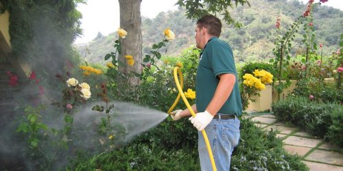 Environmental Friendly, Best Practices, Organic Pesticides