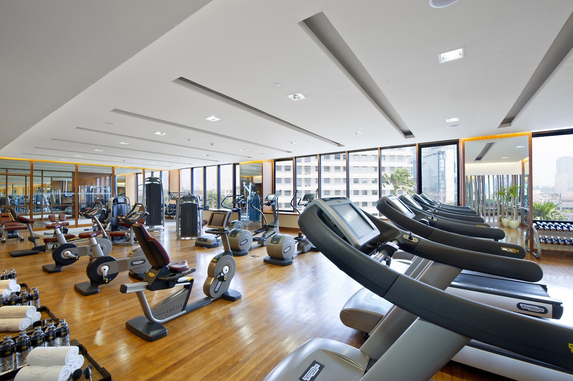 Best Pest Control Practices for Gyms